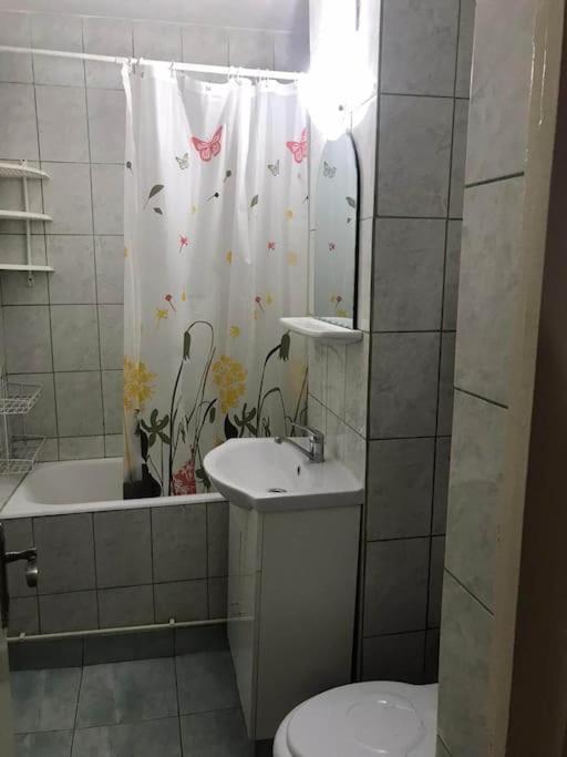 Apartament Confortabil بيتستِ المظهر الخارجي الصورة