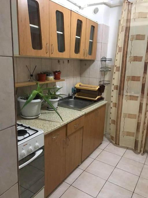 Apartament Confortabil بيتستِ المظهر الخارجي الصورة